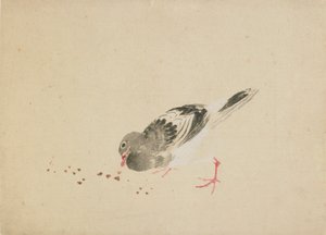 Holub, konec 18.-začátek 19. století. od Katsushika Hokusai