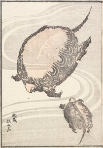 Rybník Sayama-ga-ike v provincii Musashi od Katsushika Hokusai