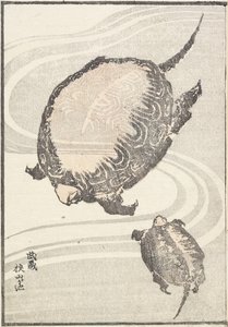 Člen Sayama-ga-ike pon d Musashi P Rovinse, 1817 od Katsushika Hokusai