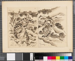 Scény z japonské a korejské války, konec 18. a první polovina 19. století (tuš a wash na papíře) od Katsushika Hokusai