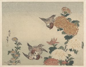 Vrabci a chryzantémy od Katsushika Hokusai
