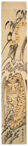 Takishita no tora (Tygr pod vodopádem), cca 1780 (dřevěný tisk) od Katsushika Hokusai