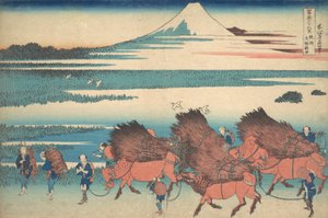 Nová pole v Ono v provincii Suruga Sunshu Ono shinden, ze série Thir..., ca. 1830-32. od Katsushika Hokusai