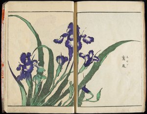 Zprostředkování ducha a odhalení podoby věcí: Hokusaiova Zahrada obrazů, svazek 1 – kompletní vydání od Katsushika Hokusai
