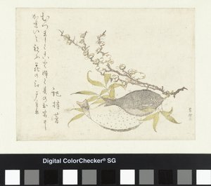 Dvě platýse a švestka od Katsushika Hokusai