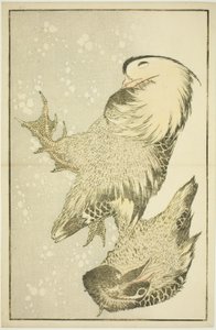 Dva vodní ptactvo, z Obrázkové knihy realistických obrazů Hokusai (Hokusai shashin gafu) od Katsushika Hokusai