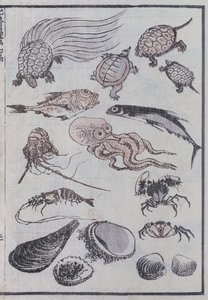 Podmořští tvorové z mangy (barevný dřevotisk) od Katsushika Hokusai