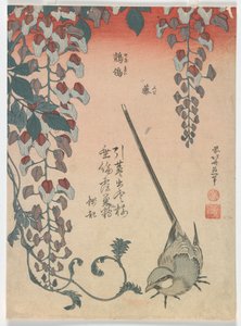 Konipas a vistárie, období Edo, 1834 (barevný dřevotisk) od Katsushika Hokusai