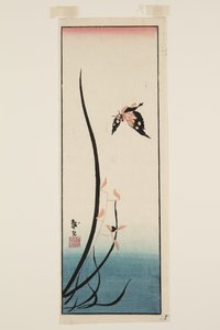 Motýl a tráva (barevný dřevotisk) od Katsushika II (fl.1820 50) Taito