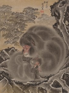 Opice, březen 1888. od Kawanabe Kyosai