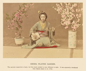 Gejša hrající na samisen