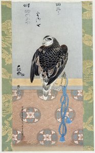 Falcon - malba na hedvábí od Itaya Keishiu od Keishu Hiromasa Itaya