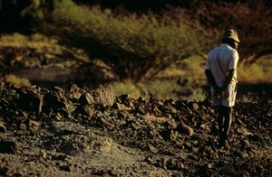 Lovec fosilií, Kamoya Kimeu, vůdce gangu hominidů, 2008 (foto) od Kenneth Garrett