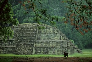 Honduras; Copan; Mayové od Kenneth Garrett