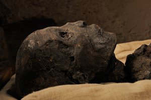 Mumie krále Tut, mm7864; 18. dynastie; Nová říše; Egyptské muzeum; Káhira; Egy..., 2005 (foto) od Kenneth Garrett