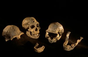 Lebky a čelisti z Dmanisi, Dmanisi, Gruzie Homo Erectus site od Kenneth Garrett