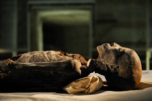 mm7864; 18. dynastie; Nová říše; Egypt; DNA; Vzorek; Mumie, neznámá mumie, 2005 (foto) od Kenneth Garrett