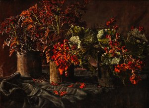Begonias (olej na plátně)