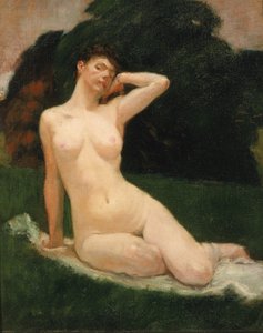 Studie na večer, 1883.