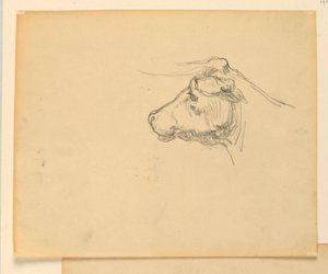 Studie pro "Herding", "Pokrok civilizace: Lov, pastevectví, zemědělství", State Capitol, Des Moines, IA