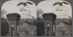 Za starých časů, kdyby byli lidé dobří, čáp by přinesl dítě sladké a spravedlivé, 1907. od Keystone View Company