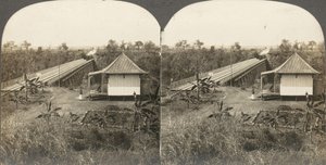 Skupina 14 stereografií Afriky a herců, 1850-1910.