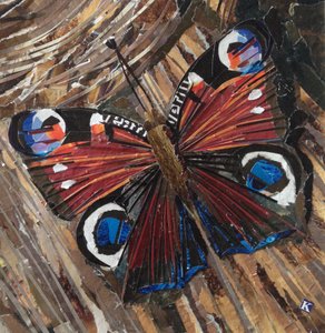 Probudit motýla Peacock na hromadě dřeva