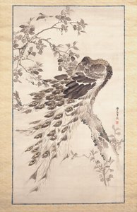Peacock On Cherry-Apple Tree (inkoust a barva na hedvábí)