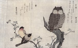 An Owl and two Eastern Bullfinches, z alba „Birds Compare in Humorous Songs, Contest of Poetry of the 100 and 1000 birds“, 1791 (barevný dřevotisk) od Kitagawa Utamaro