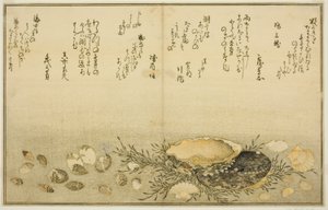 Chidori-venku, bolest-venku, ušeň, pohyb-ven, asari-venku, existuje plánovač Alláh, bract)“ od Kitagawa Utamaro