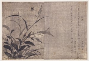 Kriket a světlušky, 1788 (dřevěný blok) od Kitagawa Utamaro