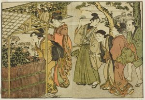Zobrazení chryzantém, z ilustrované knihy "Obrázková kniha: Květiny čtyř ročních období (Ehon shiki no hana)", sv. 2 od Kitagawa Utamaro