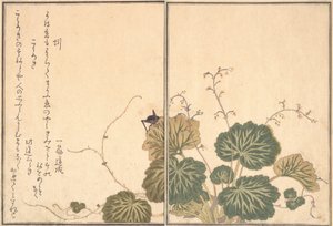 Žížala Mimizu, Kriket Korogi..., 1788. od Kitagawa Utamaro