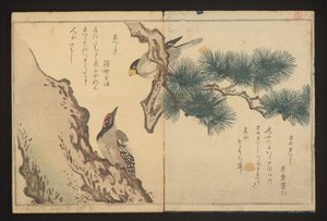 Grobeak a datel od Kitagawa Utamaro