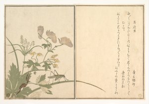  od Kitagawa Utamaro