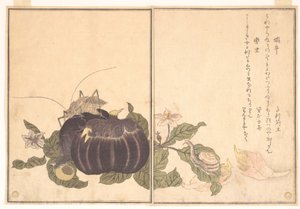  od Kitagawa Utamaro