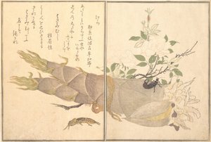 Krtonožka Kera, Earwig, Hasami-mushi..., 1788. od Kitagawa Utamaro