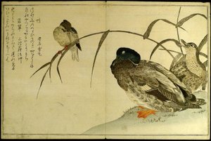 Myriad Birds: (Momo chidori kyoka awase) od Kitagawa Utamaro