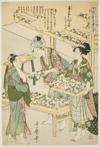 č. 6 (roku), ze série "Ženy angažované v serikultuře (Joshoku kaiko tewaza-gusa)" od Kitagawa Utamaro