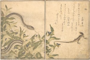  od Kitagawa Utamaro