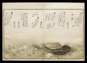 Shiohi no tsuto (Dary odlivu), známá jako Kniha mušlí, 1789 (barevný dřevoryt) od Kitagawa Utamaro