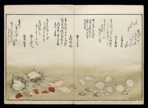 Shiohi no tsuto (Dary odlivu), známá jako Kniha mušlí, 1789 (barevný dřevoryt) od Kitagawa Utamaro