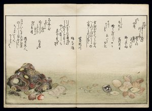 Shiohi no tsuto (Dary odlivu), známá jako Kniha mušlí, 1789 (barevný dřevoryt) od Kitagawa Utamaro