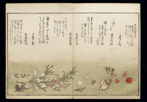 Shiohi no tsuto (Dary odlivu), známá jako Kniha mušlí, 1789 (barevný dřevoryt) od Kitagawa Utamaro