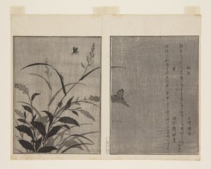 Tree Cricket (Matsumushi) a Firefly (Hotaru) (barevný dřevotisk) od Kitagawa Utamaro