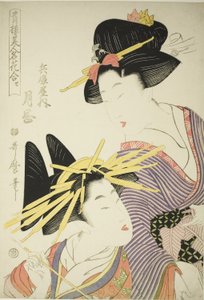 Tsukioka z Hyogoya (Hyogoya uchi tsukioka), ze série "Seiro bijin meika awase", asi 1801 (barevný dřevoryt; oban) od Kitagawa Utamaro