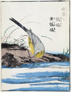 Pták. Japonská kresba Kitao Kosuisai