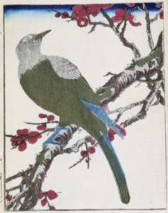 Pták na stromě. Japonská kresba Kitao Kosuisai od Kitao Shigemasa