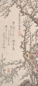 Plum Tree in Blossom, konec 18.-začátek 19. století. od Kitao Shigemasa