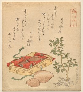 Tale of the Bamboo-Cutter, ze série Assorted Tales od Kitao Shigemasa